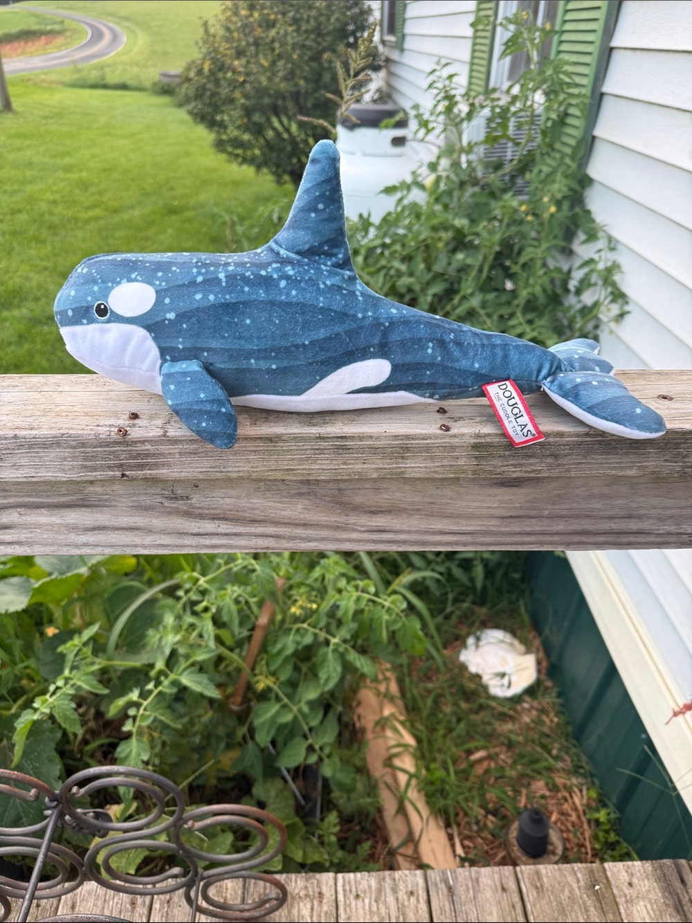 Douglas Starry Blue Orca Plush - Soft Whale Stuffed Animal